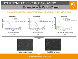 www.neuroservice.com
SOLUTIONS FOR DRUG DISCOVERY
Example with Patch-Clamp
PHARMACOLOGICAL CHARACTERIZATION OF SODIUM CURRENTS IN DRG
TTXs and TTXr sodium current
n=6
TTXs sodium current
n=6
TTXr sodium current
n=3
Mice DRG (12 weeks) Rat DRG (12 weeks)
Inactivation Inactivation Inactivation
 