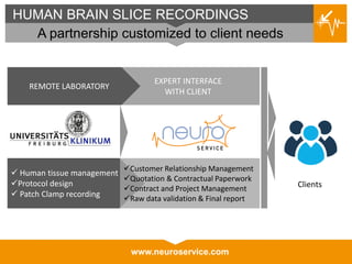 www.neuroservice.com
 Human tissue management
Protocol design
 Patch Clamp recording
HUMAN BRAIN SLICE RECORDINGS
A partnership customized to client needs
EXPERT INTERFACE
WITH CLIENT
REMOTE LABORATORY
Customer Relationship Management
Quotation & Contractual Paperwork
Contract and Project Management
Raw data validation & Final report
Clients
 