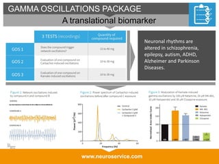 www.neuroservice.com
GAMMA OSCILLATIONS PACKAGE
A translational biomarker
Neuronal rhythms are
altered in schizophrenia,
epilepsy, autism, ADHD,
Alzheimer and Parkinson
Diseases.
 