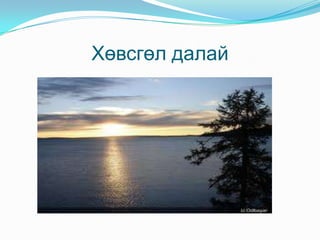  Хөвсгөл далай