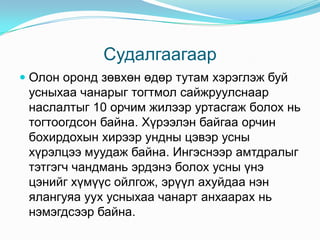 СудалгаагаарОлонорондзөвхөнөдөртутамхэрэглэжбуйусныхаачанарыгтогтмолсайжруулснаарнаслалтыг 10 орчимжилээруртасгажболохньтогтоогдсонбайна. Хүрээлэнбайгааорчинбохирдохынхирээрундныцэвэрусныхүрэлцээмуудажбайна. Ингэснээрамтдралыгтэтгэгччандманьэрдэнэболохусныүнэцэнийгхүмүүсойлгож, эрүүлахуйдаанэнялангуяауухусныхаачанартанхаарахньнэмэгдсээрбайна.