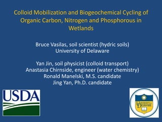 Colloid Mobilization and Biogeochemical Cycling of
Organic Carbon, Nitrogen and Phosphorous in
Wetlands
Bruce Vasilas, soil scientist (hydric soils)
University of Delaware
Yan Jin, soil physicist (colloid transport)
Anastasia Chirnside, engineer (water chemistry)
Ronald Manelski, M.S. candidate
Jing Yan, Ph.D. candidate
 