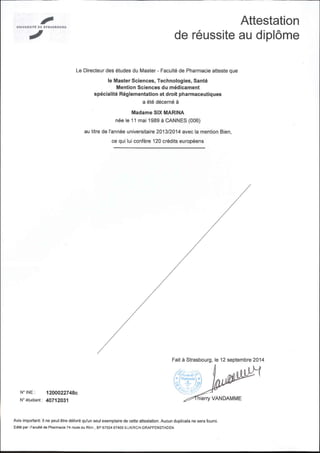 Master certificate | PDF
