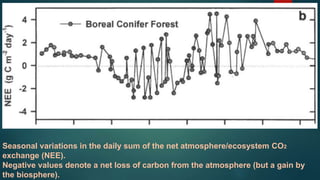 Seasonal variations in the daily sum of the net atmosphere/ecosystem CO2
exchange (NEE).
Negative values denote a net loss of carbon from the atmosphere (but a gain by
the biosphere).
 