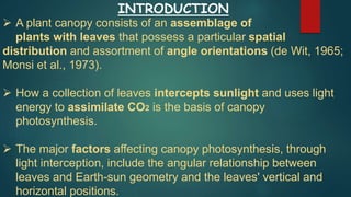 INTRODUCTION
 A plant canopy consists of an assemblage of
plants with leaves that possess a particular spatial
distribution and assortment of angle orientations (de Wit, 1965;
Monsi et al., 1973).
 How a collection of leaves intercepts sunlight and uses light
energy to assimilate CO2 is the basis of canopy
photosynthesis.
 The major factors affecting canopy photosynthesis, through
light interception, include the angular relationship between
leaves and Earth-sun geometry and the leaves' vertical and
horizontal positions.
 