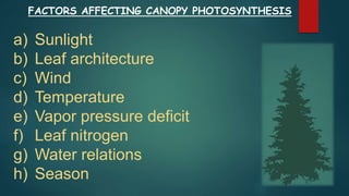 FACTORS AFFECTING CANOPY PHOTOSYNTHESIS
a) Sunlight
b) Leaf architecture
c) Wind
d) Temperature
e) Vapor pressure deficit
f) Leaf nitrogen
g) Water relations
h) Season
 