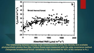 The relationship between canopy scale measurements of CO2 flux density and available
photosynthetic photon flux (Qa). Carbon fluxes were measured with the eddy covariance method.
(Temperate broadleaved forest: variations in Qa accounted for 42% of the variance in Fc.)
 