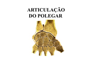 ARTICULAÇÃO
DO POLEGAR
 