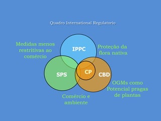 SPS 
IPPC Proteção da 
flora nativa 
Medidas menos 
restritivas ao 
comércio 
Quadro International Regulatorio 
Comércio e 
ambiente 
OGMs como 
Potencial pragas 
de plantas 
CP 
CBD 
 
