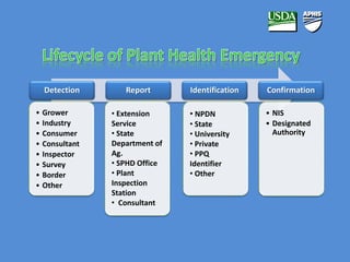 Detection Report Identification Confirmation 
• Grower 
• Industry 
• Consumer 
• Consultant 
• Inspector 
• Survey 
• Border 
• Other 
• Extension 
Service 
• State 
Department of 
Ag. 
• SPHD Office 
• Plant 
Inspection 
Station 
• Consultant 
• NPDN 
• State 
• University 
• Private 
• PPQ 
Identifier 
• Other 
• NIS 
• Designated 
Authority 
 