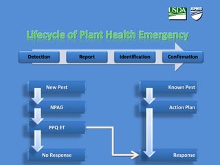 Detection Report Identification Confirmation 
Known Pest 
Action Plan 
Response 
New Pest 
NPAG 
PPQ ET 
No Response 
 