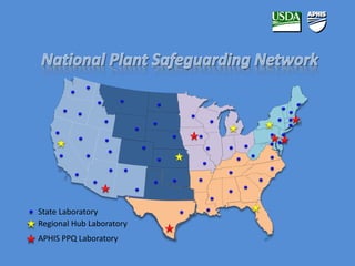 State Laboratory 
Regional Hub Laboratory 
APHIS PPQ Laboratory 
 