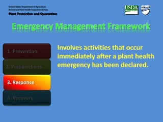 United States Department of Agriculture 
Animal and Plant Health Inspection Service 
Plant Protection and Quarantine 
1. Prevention 
2. Preparedness 
3. Response 
4. Recovery 
 