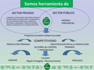 Somos herramienta de 
SECTOR PRIVADO SECTOR PÚBLICO 
Programas Sanidad-Calidad-Inocuidad 
INDUSTRIALIZACIÓN de la PRODUCCIÓN 
PRIMARIA 
•CAMARAS, ASOCIACIONES, SOCIEDADES RURALES Y 
FEDERACIONES DE PRODUCTORES Y EMPRESARIOS 
DE LA ACTIVIDADES HORTÍCOLAS, FORESTALES, 
FRUTÍCOLAS, GANADERAS Y OTRAS ACTIVIDADES 
AGRICOLO-GANADERAS DE LA REGION PROTEGIDA 
•SENASA 
•PROVINCIAS 
COMPETITIVIDAD 
PRODUCCIÓN PRIMARIA 
ACCIONES de CONTROL 
Y TRAZABILIDAD 
CALIDAD 
SANIDAD PROCESOS 
Región Protegida = Reconocimiento 
 