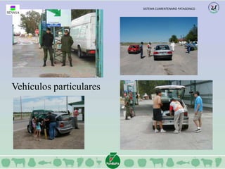 Vehículos particulares 
SISTEMA CUARENTENARIO PATAGONICO 
 