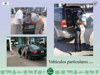 Vehículos particulares (Cont.) 
 