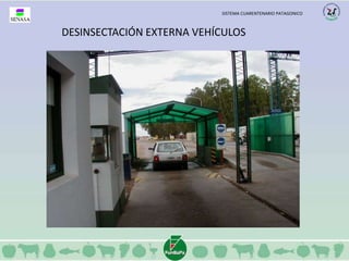 SISTEMA CUARENTENARIO PATAGONICO 
DESINSECTACIÓN EXTERNA VEHÍCULOS 
 