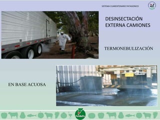 DESINSECTACIÓN 
EXTERNA CAMIONES 
TERMONEBULIZACIÓN 
EN BASE ACUOSA 
SISTEMA CUARENTENARIO PATAGONICO 
 