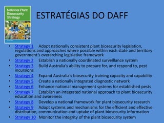 ESTRATÉGIAS DO DAFF 
• Strategy 1 Adopt nationally consistent plant biosecurity legislation, 
regulations and approaches where possible within each state and territory 
government’s overarching legislative framework 
• Strategy 2 Establish a nationally coordinated surveillance system 
• Strategy 3 Build Australia’s ability to prepare for, and respond to, pest 
incursions 
• Strategy 4 Expand Australia’s biosecurity training capacity and capability 
• Strategy 5 Create a nationally integrated diagnostic network 
• Strategy 6 Enhance national management systems for established pests 
• Strategy 7 Establish an integrated national approach to plant biosecurity 
education and awareness 
• Strategy 8 Develop a national framework for plant biosecurity research 
• Strategy 9 Adopt systems and mechanisms for the efficient and effective 
distribution, communication and uptake of plant biosecurity information 
• Strategy 10 Monitor the integrity of the plant biosecurity system 
 