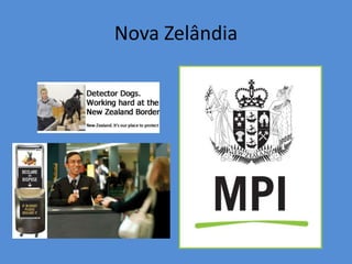 Nova Zelândia 
 