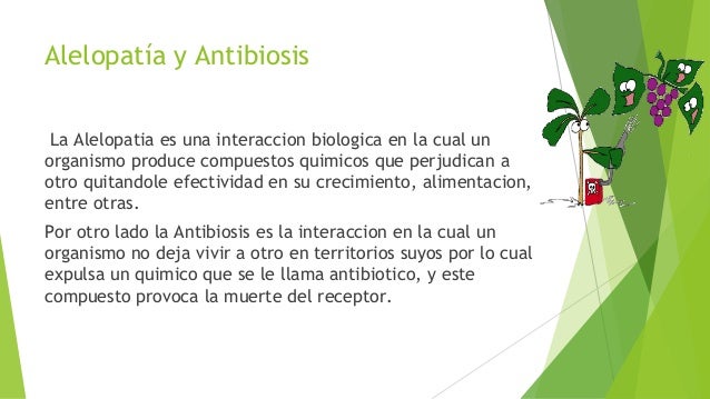 Amensalismo