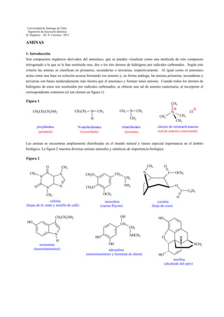 Universidad de Santiago de Chile
Ingeniería de Ejecución Química
Q. Orgánica – Dr. N. Carrasco 2012

AMINAS
1- Introducción
Son compuestos orgánicos derivados del amoniaco, que se pueden visualizar como una molécula de este compuesto
nitrogenado a la que se le han sustituido uno, dos o los tres átomos de hidrógeno por radicales carbonados. Según este
criterio las aminas se clasifican en primarias, secundarias o terciarias, respectivamente. Al igual como el amoniaco
actúa como una base en solución acuosa formando ion amonio y, en forma análoga, las aminas primarias, secundarias y
terciarias son bases moderadamente más fuertes que el amoniaco y forman iones amonio. Cuando todos los átomos de
hidrógeno de estos son sustituidos por radicales carbonados, se obtiene una sal de amonio cuaternaria, al incorporar el
correspondiente contraion (el ion cloruro en figura 1)
Figura 1

CH3
CH3CH2

CH3CH2CH2NH2

N

CH3

CH3

CH3

CH3
CH3

CH3

cloruro de tetrametil amonio
(sal de amonio cuaternaria)

trimetilamina
(terciaria)

N-metiletilamina
(secundaria)

Cl

N

CH3

H
propilamina
(primaria)

N

Las aminas se encuentran ampliamente distribuidas en el mundo natural y tienen especial importancia en el ámbito
biológico. La figura 2 muestra diversas aminas naturales y sintéticas de importancia biológica.
Figura 2
O
CH3

O

CH3

CH3
N

N

N

N

CH2

CH3O

O

N

C

NH2

CH3O

O
C

OCH3

CH3
cafeína
(hojas de té, mate y semilla de café)

OCH3

CH2

O

mescalina
(cactus Peyote)

cocaína
(hoja de coca)

OH

CH2CH2NH2
HO

C6H5

HO

CH
CH2
N
H
serotonina
(neurotransmisor)

NHCH3

HO

O

H

OH
adrenalina
(neurotransmisor y hormona de alerta)

NCH3
HO
morfina
(alcaloide del opio)

 