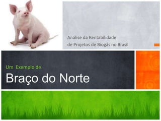 Análise da Rentabilidade
                de Projetos de Biogás no Brasil



Um Exemplo de

Braço do Norte
 