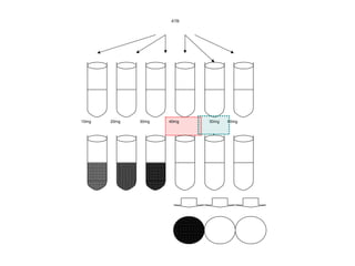 ATB
10mg 20mg 30mg 40mg 50mg 60mg
 