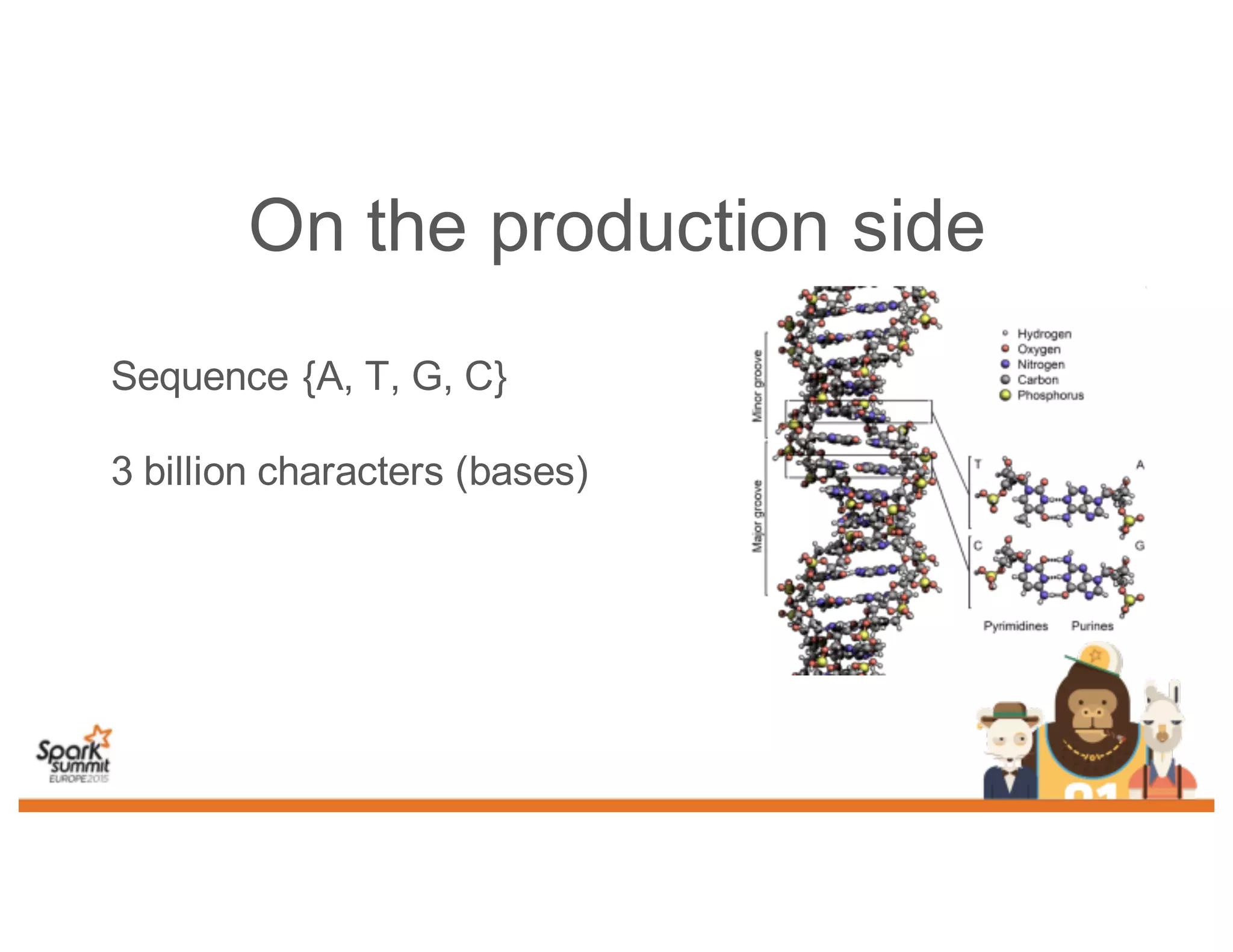 On the production side
Sequence {A, T, G, C}
3 billion characters (bases)
 