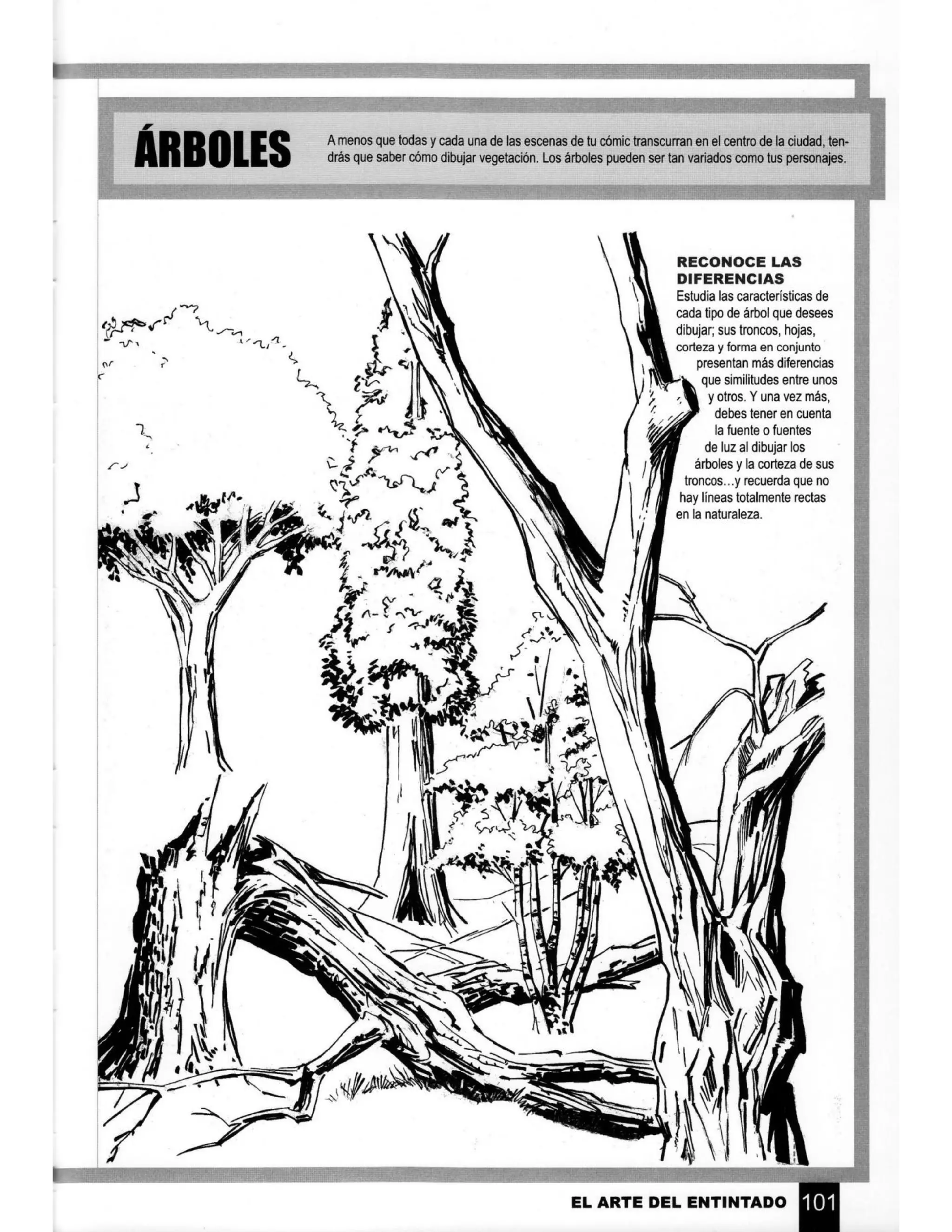 09 aprende a dibujar comic