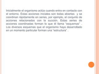 Inicialmente el organismo actúa cuando entra en contacto con el entorno. Estas acciones iniciales son todas abiertas  y se coordinan rápidamente en series, por ejemplo, el conjunto de acciones relacionadas con la succión. Estas series de acciones coordinadas forman lo que él llama “esquemas” . Los diversos esquemas que el organismo haya desarrollado en un momento particular forman una “estructura” . 