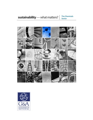 sustainability—whatmatters? The Chemicals
Sector
 