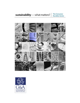 sustainability—whatmatters? The Consumer
Durables Sector
 