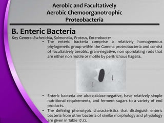 Aerobic and Facultatively
Aerobic Chemoorganotrophic
Proteobacteria
B. Enteric Bacteria
Key Genera: Escherichia, Salmonella, Proteus, Enterobacter
• The enteric bacteria comprise a relatively homogeneous
phylogenetic group within the Gamma proteobacteria and consist
of facultatively aerobic, gram-negative, non sporulating rods that
are either non motile or motile by peritrichous flagella.
• Enteric bacteria are also oxidase-negative, have relatively simple
nutritional requirements, and ferment sugars to a variety of end
products.
• The defining phenotypic characteristics that distinguish enteric
bacteria from other bacteria of similar morphology and physiology
are given in Table 17.12.
 