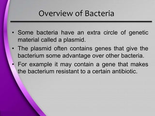 Overview of Bacteria
• Some bacteria have an extra circle of genetic
material called a plasmid.
• The plasmid often contains genes that give the
bacterium some advantage over other bacteria.
• For example it may contain a gene that makes
the bacterium resistant to a certain antibiotic.
 