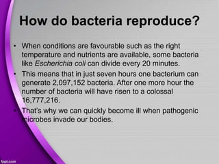 How do bacteria reproduce?
• When conditions are favourable such as the right
temperature and nutrients are available, some bacteria
like Escherichia coli can divide every 20 minutes.
• This means that in just seven hours one bacterium can
generate 2,097,152 bacteria. After one more hour the
number of bacteria will have risen to a colossal
16,777,216.
• That’s why we can quickly become ill when pathogenic
microbes invade our bodies.
 