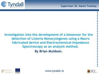 www.tyndall.ie
Supervisor: Dr. Karen Twomey.
Investigation into the development of a biosensor for the
detection of Listeria Monocytogenes using a Macro
fabricated device and Electrochemical Impedance
Spectroscopy as an analysis method.
By Brian Muldoon.
 