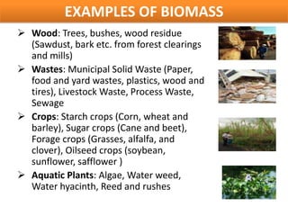 Biomass Examples