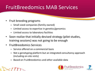 FruitBreedomics MAB Services
• Fruit breeding programs
– Small sized companies (familiy owned)
– Limited access to expertise in genetics/genomics
– Limited access to laboratory facilities
• Soon realize that initially devised strategy (pilot studies,
training sessions) was not going to be enough
• FruitBreedomics Services
– Service offered on a commercial basis
– Not a genotyping platform but an integrated consultancy approach
(including on-site visits)
– Based on FruitBreedomics and other available data
 