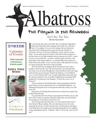 ­PHOEBASTRIA 
Santa Cruz Bird Club Newsletter Volume 59 Number 2: Nov/Dec2014 
NIGRIPES 
Calendar 
of Events 
Santa Cruz 
Birds 
NEW! 
B i r d e r ' s 
Notebook 
The Penguin in the Redwood 
And Other True Tales 
By Lisa Fay Larson 
It was the last day in the year 2006. We were hiking in Big Basin 
Redwoods State Park above Sempervirens Falls on a cold New 
Year’s Eve midday. It was my first outing with my brand-new 
binoculars that I had generously received from my brother for 
Christmas. He lives in Owasso, Oklahoma, where winter is pretty 
bleak. It was really good to be back in the land of blue and green. I 
had my binos on my right shoulder and my camera on my left—which 
is now my iron-clad rule—so I know which to grab and when. The 
binoculars (with image stabilizer, so no hand shake) and camera are 
both of the same brand. I won’t say the name of the brand but it is akin 
to a huge ground gun that ejects large iron balls. 
We were half way up Slippery Rock off Sequoia Trail when I 
turned to check out the view. My first bird that I saw through those 
new binos was an Acorn Woodpecker which had flown into some huge 
redwood trees across the gap. Despite the distance, I was thrilled to 
see it so well. Shortly after I saw a small, pudgy black and white bird 
fly into the redwood. I was mystified! Nonplussed! Astounded AND 
perplexed! I exclaimed to my husband, “It looks like some sort of 
Penguin!” 
Upon scouring my bird field guides I later learned that I had the 
great fortune of a rare deep-forest view of a Marbled Murrelet—an 
endangered alcid that nests in old growth redwoods usually over 200 
years old. 
My passion for birding thus had become an obsession, largely due 
to that Christmas gift. 
It is amazing what silly things an inexperienced birder can say. But 
that’s OK! I must say genuine, heartfelt enthusiasm can (and should 
be) contagious. It can bring out the best in us. 
Not too long after that adventure, we were parked at the end of 
Jetty Road in Moss Landing. We were looking out over the water, 
enjoying the activity of otters and sea lions. I looked down and again 
I was floored by the strange and awkward-looking bird I saw standing 
on the embankment below. I blurted, “Mike! It looks like some kind of 
auk!” 
INSIDE: 
58th Annual 
Christmas 
Bird Count! 
 