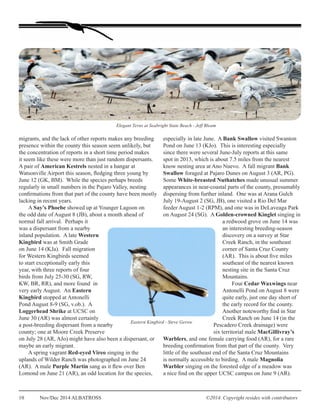 Elegant Terns at Seabright State Beach - Jeff Bleam 
migrants, and the lack of other reports makes any breeding 
presence within the county this season seem unlikely, but 
the concentration of reports in a short time period makes 
it seem like these were more than just random dispersants. 
A pair of American Kestrels nested in a hangar at 
Watsonville Airport this season, fledging three young by 
June 12 (GK, BM). While the species perhaps breeds 
regularly in small numbers in the Pajaro Valley, nesting 
confirmations from that part of the county have been mostly 
lacking in recent years. 
the odd date of August 8 (JB), about a month ahead of 
normal fall arrival. Perhaps it 
was a dispersant from a nearby 
inland population. A late Western 
Kingbird was at Smith Grade 
on June 14 (KJa). Fall migration 
for Western Kingbirds seemed 
to start exceptionally early this 
year, with three reports of four 
birds from July 25-30 (SG, RW, 
KW, BR, RR), and more found in 
very early August. An Eastern 
Kingbird stopped at Antonelli 
Pond August 8-9 (SG, v.ob.). A 
Loggerhead Shrike at UCSC on 
June 30 (AR) was almost certainly 
a post-breeding dispersant from a nearby 
county; one at Moore Creek Preserve 
on July 28 (AR, AJo) might have also been a dispersant, or 
maybe an early migrant. 
Eastern Kingbird - Steve Gerow 
uplands of Wilder Ranch was photographed on June 24 
(AR). A male Purple Martin sang as it flew over Ben 
Lomond on June 21 (AR), an odd location for the species, 
­10 
A Say’s Phoebe showed up at Younger Lagoon on 
A spring vagrant Red-eyed Vireo singing in the 
especially in late June. A Bank Swallow visited Swanton 
Pond on June 13 (KJo). This is interesting especially 
since there were several June-July reports at this same 
spot in 2013, which is about 7.5 miles from the nearest 
know nesting area at Ano Nuevo. A fall migrant Bank 
Swallow foraged at Pajaro Dunes on August 3 (AR, PG). 
Some White-breasted Nuthatches made unusual summer 
appearances in near-coastal parts of the county, presumably 
dispersing from further inland. One was at Arana Gulch 
July 19-August 2 (SG, JB), one visited a Rio Del Mar 
feeder August 1-2 (RPM), and one was in DeLaveaga Park 
on August 24 (SG). A Golden-crowned Kinglet singing in 
a redwood grove on June 14 was 
an interesting breeding-season 
discovery on a survey at Star 
Creek Ranch, in the southeast 
corner of Santa Cruz County 
(AR). This is about five miles 
southeast of the nearest known 
nesting site in the Santa Cruz 
Mountains. 
Four Cedar Waxwings near 
Antonelli Pond on August 8 were 
quite early, just one day short of 
the early record for the county. 
Another noteworthy find in Star 
Creek Ranch on June 14 (in the 
Pescadero Creek drainage) were 
six territorial male MacGillivray’s 
Warblers, and one female carrying food (AR), for a rare 
breeding confirmation from that part of the county. Very 
little of the southeast end of the Santa Cruz Mountains 
is normally accessible to birding. A male Magnolia 
Warbler singing on the forested edge of a meadow was 
a nice find on the upper UCSC campus on June 9 (AR). 
Nov/Dec 2014 ALBATROSS ©2014. Copyright resides with contributors 
 
