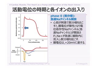 09 cardiac muscle; the heart as a pump and function of the heart valves ...
