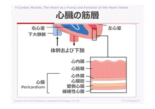 09 cardiac muscle; the heart as a pump and function of the heart valves ...