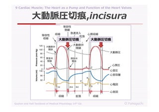 09 cardiac muscle; the heart as a pump and function of the heart valves ...