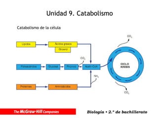 Unidad 9. Catabolismo Catabolismo de la célula 