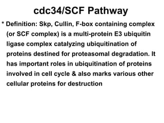Cell cycle | PPTX