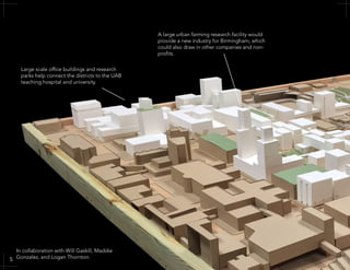 Large scale office buildings and research
parks help connect the districts to the UAB
teaching hospital and university.
A large urban farming research facility would
provide a new industry for Birmingham, which
could also draw in other companies and non-
profits.
In collaboration with Will Gaskill, Maddie
Gonzalez, and Logan Thornton.5
 