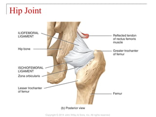 09 [chapter 9 joints] | PPT