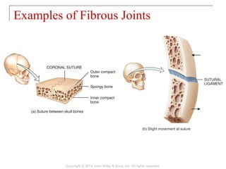 09 [chapter 9 joints] | PPT