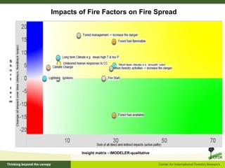 Forests, fire and climate change dynamics | PPTX